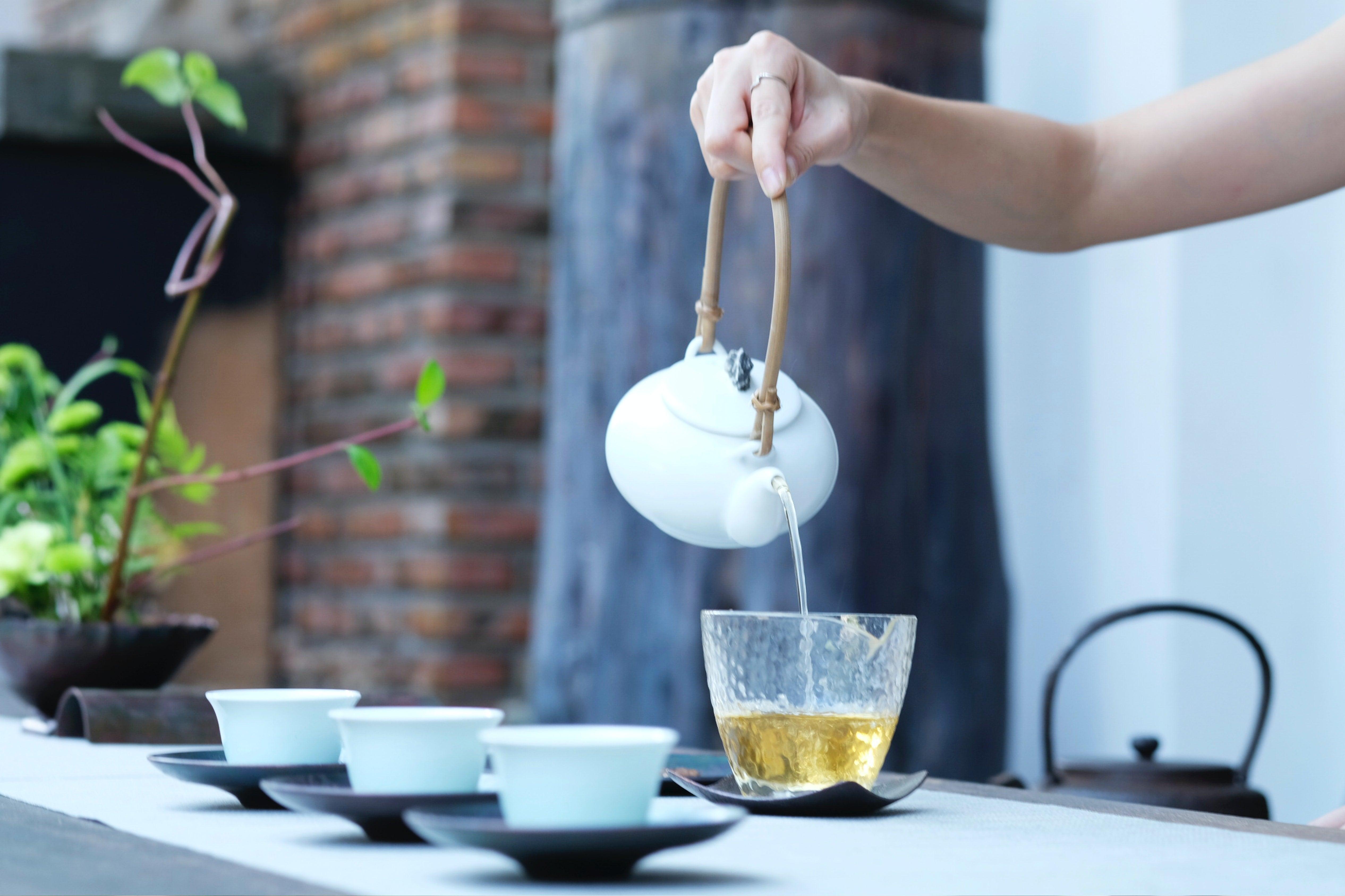 Delicate Tea Culture by Ding Tea