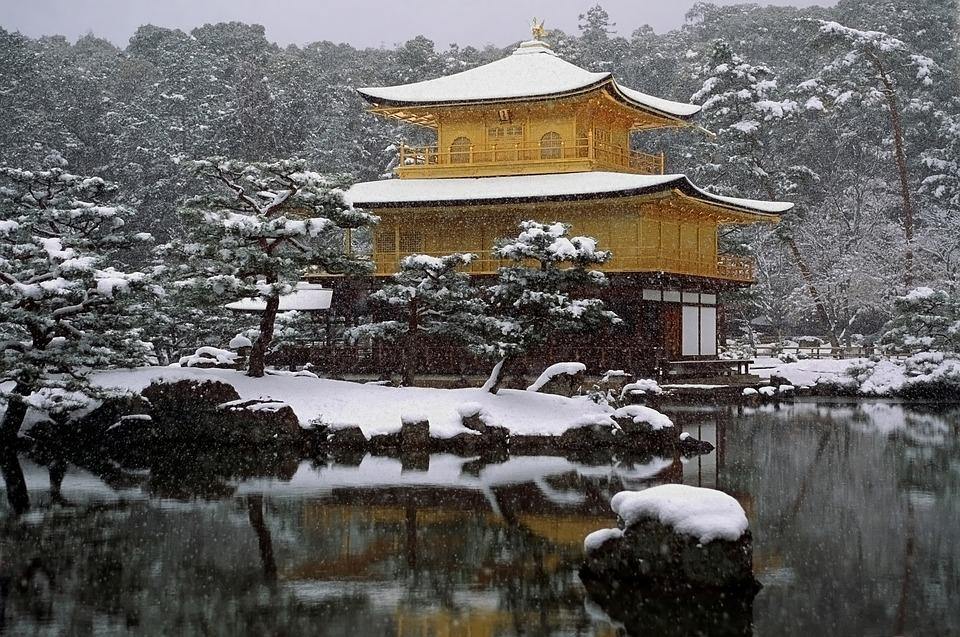 The Different Types of Japanese Tea Ceremony