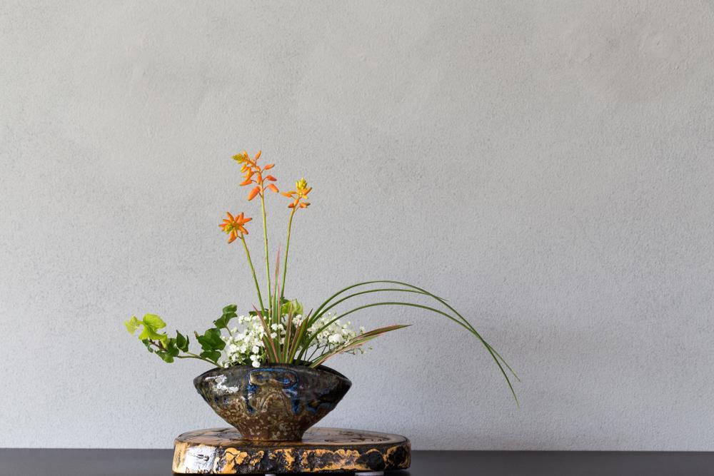Chabana — Ikebana Flower Arrangements for the Tea Ceremony