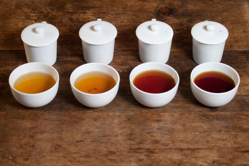 What Is Mouthfeel? — How To Properly Taste Tea