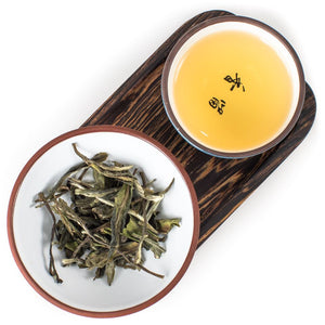 The History of White Tea, Dating Back to the Tang Dynasty