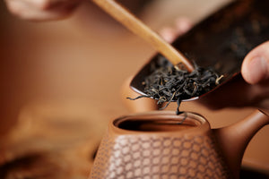 Behind the Scenes of Oolong Tea Taste and Aroma