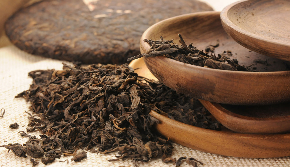 Hei Cha: A Deeper Look into China's Dark Tea | Path of Cha