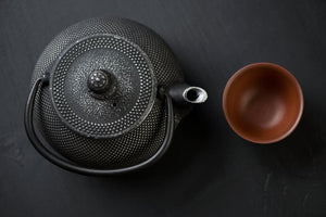 Cast Iron Kettle Craft: Discovering the Tetsubin Tradition