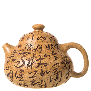 Collection image
