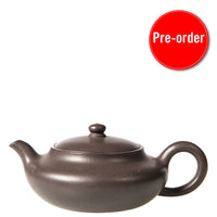 Aged Clay, Xu Bian Yixing Teapot (ZiSha: ZiNi)